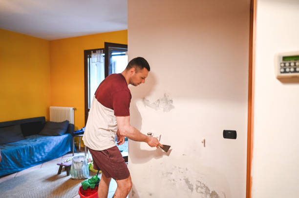 Best Emergency Mold Removal  in Ladera, CA